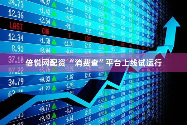 倍悦网配资 “消费查”平台上线试运行