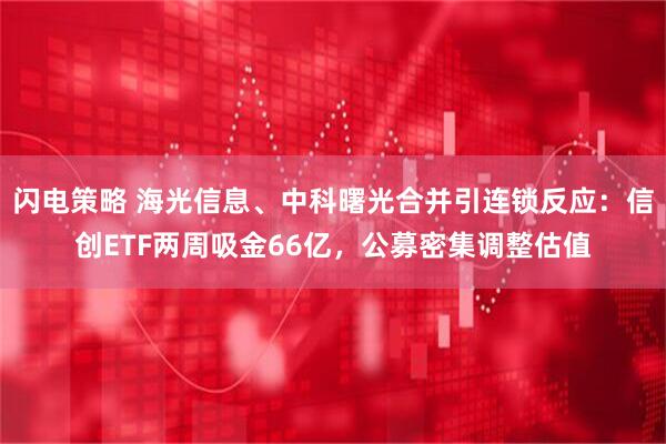 闪电策略 海光信息、中科曙光合并引连锁反应：信创ETF两周吸金66亿，公募密集调整估值