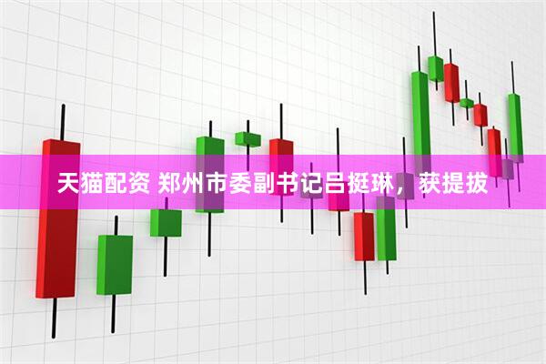 天猫配资 郑州市委副书记吕挺琳，获提拔