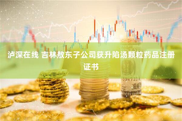 泸深在线 吉林敖东子公司获升陷汤颗粒药品注册证书