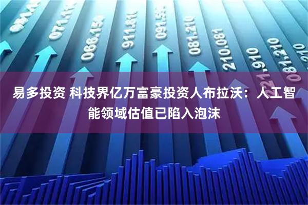易多投资 科技界亿万富豪投资人布拉沃：人工智能领域估值已陷入泡沫