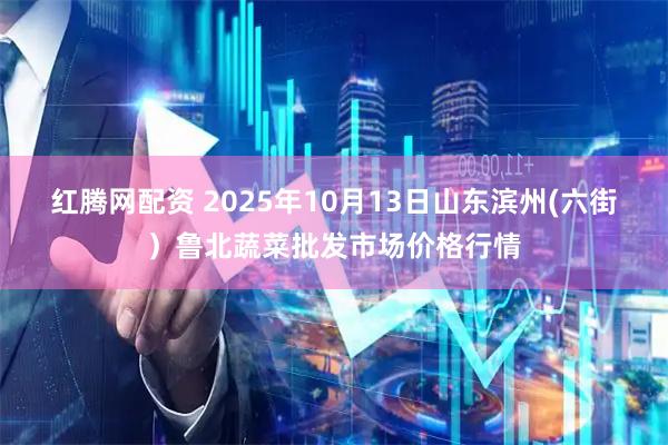 红腾网配资 2025年10月13日山东滨州(六街）鲁北蔬菜批发市场价格行情