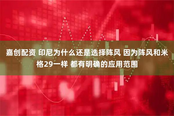 嘉创配资 印尼为什么还是选择阵风 因为阵风和米格29一样 都有明确的应用范围